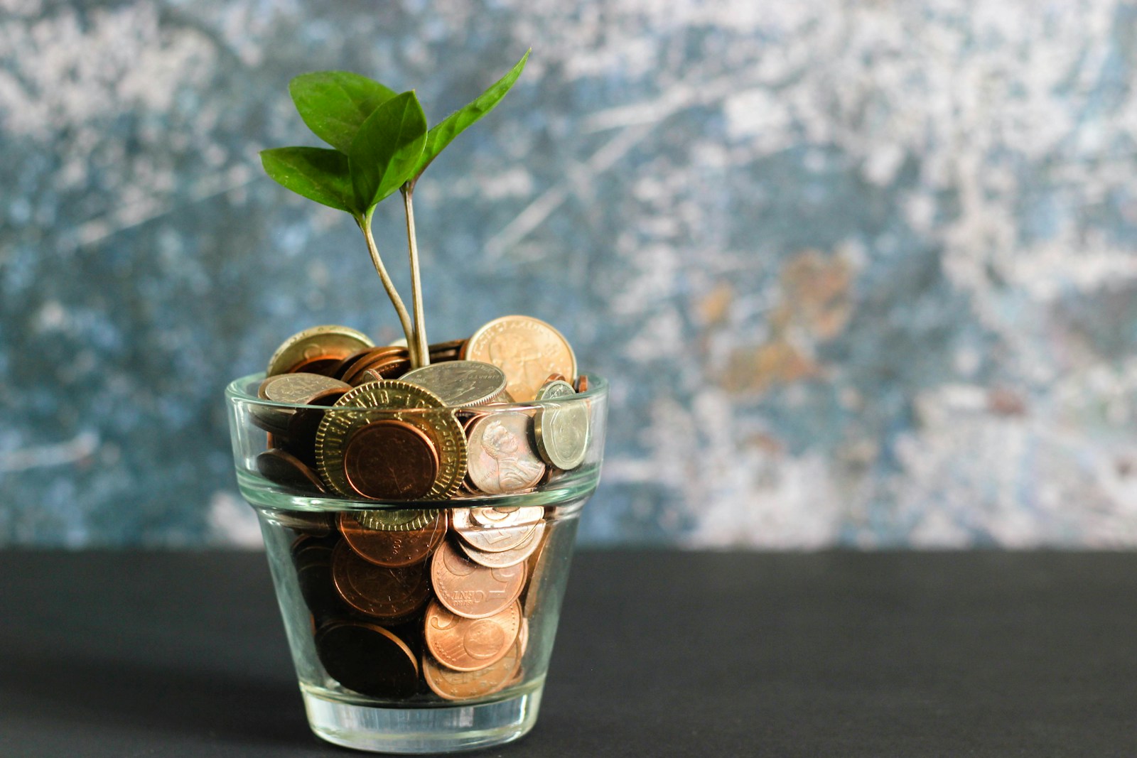 budget artistes auteurs